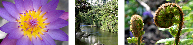 Nature images